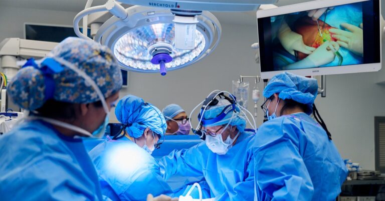 Alabama woman gets a life-saving kidney transplant from a genetically engineered pig. A breakthrough in xenotransplantation offers hope to many.