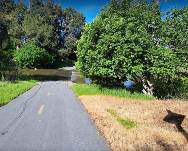 Long easy ride - bionicoldguy