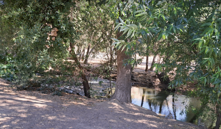 Pedal standing is back! - Bionicoldguy