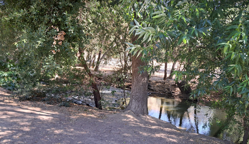 Pedal standing is back! - Bionicoldguy