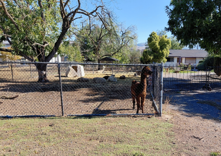 Happy Fall Riding – BionicOldGuy