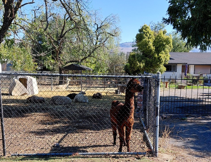 More fair weather riding until the rains – BionicOldGuy