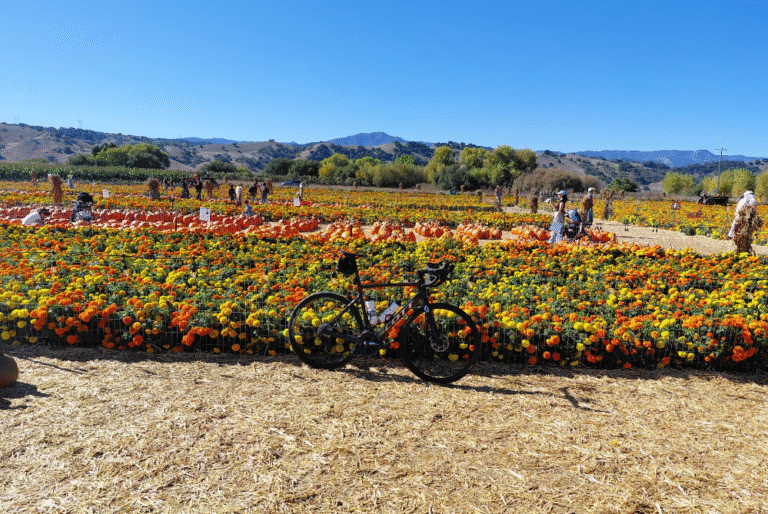Pumpkin Patch Ride - BionicOldGuy