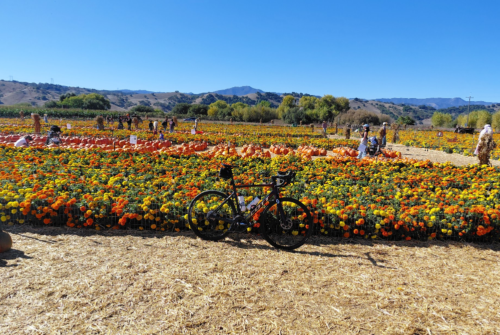 Pumpkin Patch Ride - BionicOldGuy