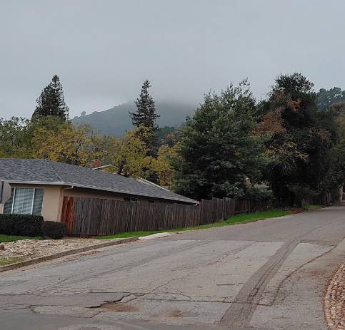 Foggy and Cold - BionicOldGuy