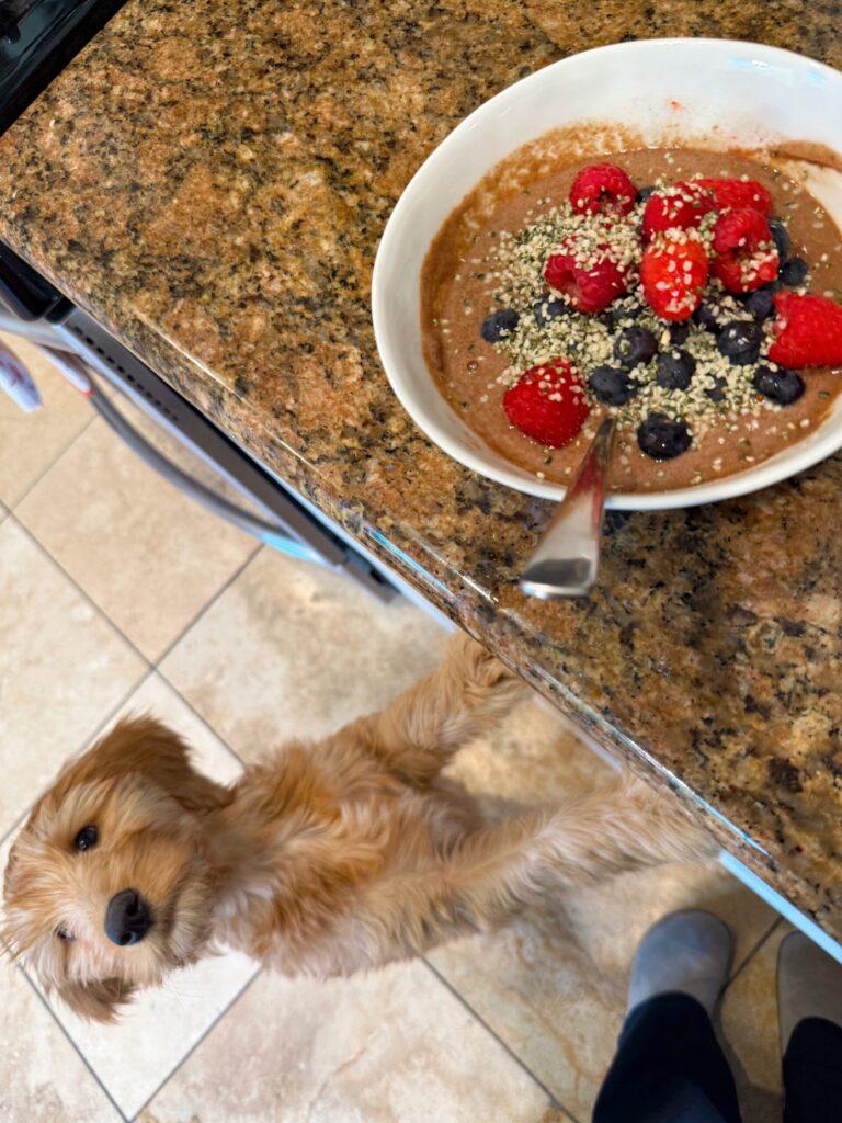 1.30 Friday Favorites - The Fitness Man