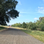 Coyote Off-Pavement and On – BionicOldGuy

