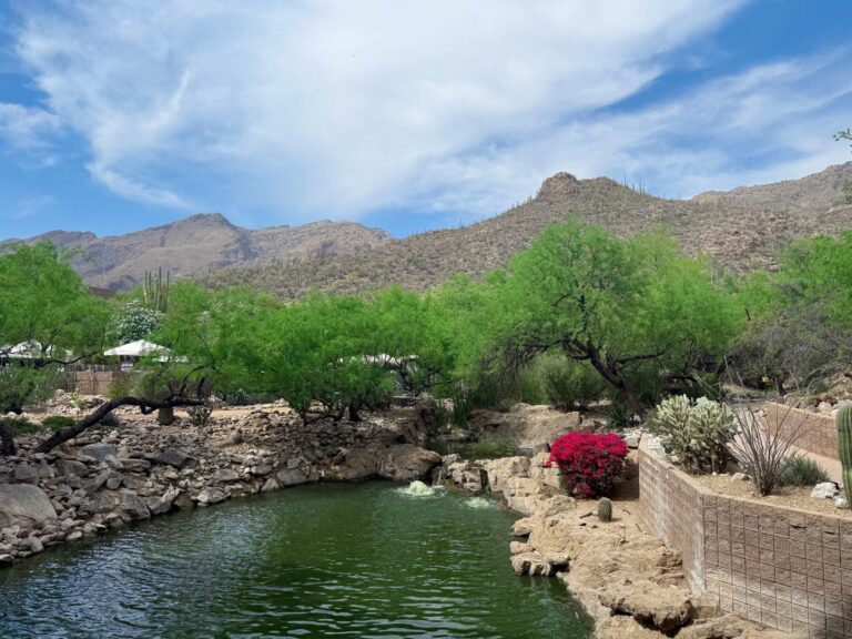 4.3 Favorite Friday - The fitness man