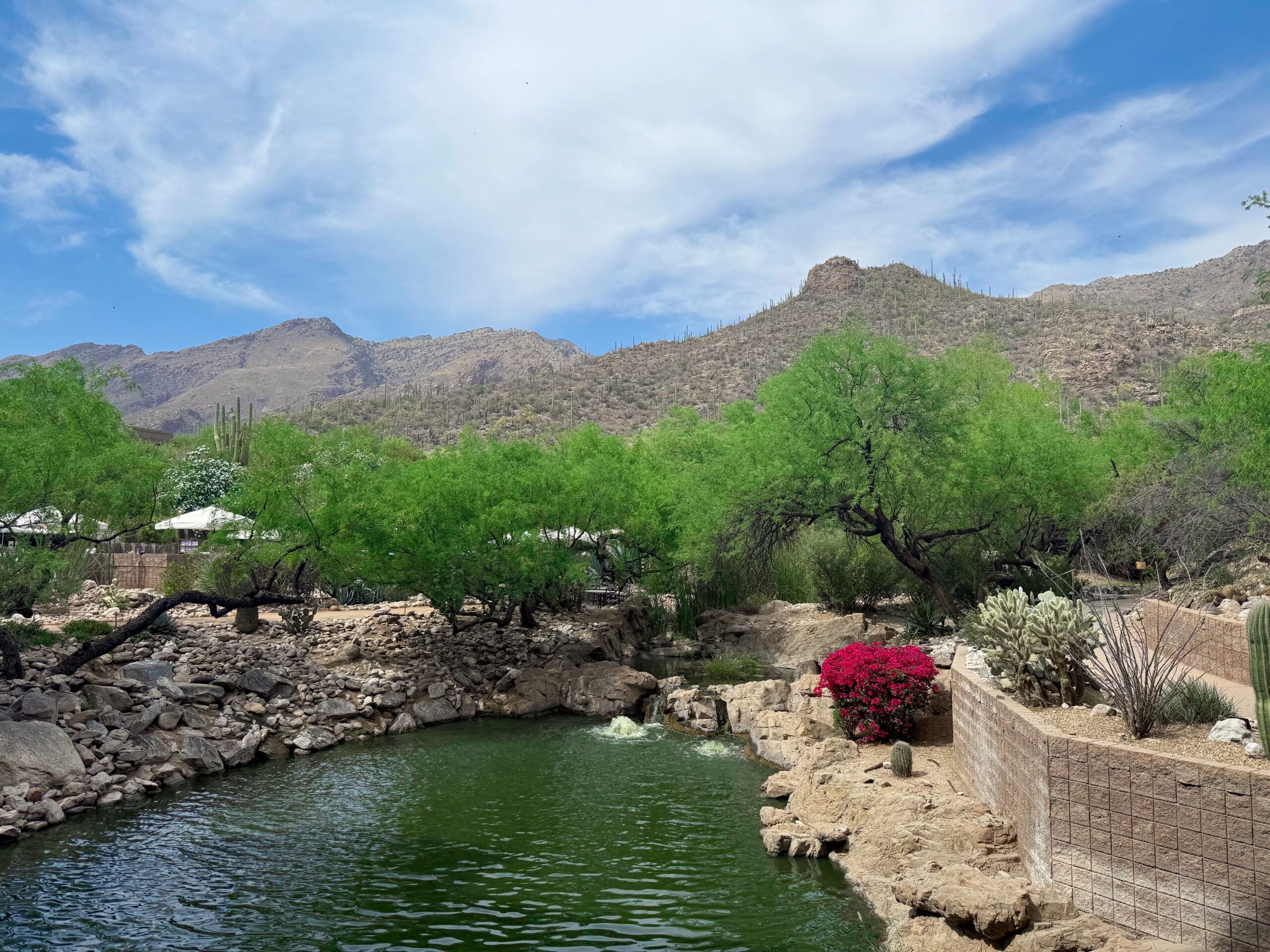 4.3 Favorite Friday - The fitness man