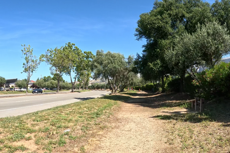Some more rain and gloom then back to sunny weather – BionicOldGuy