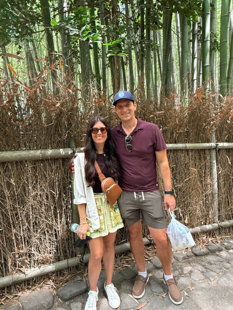 Summary of Kyoto, bamboo forest and monkey park