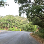 More mileage – BionicOldGuy

